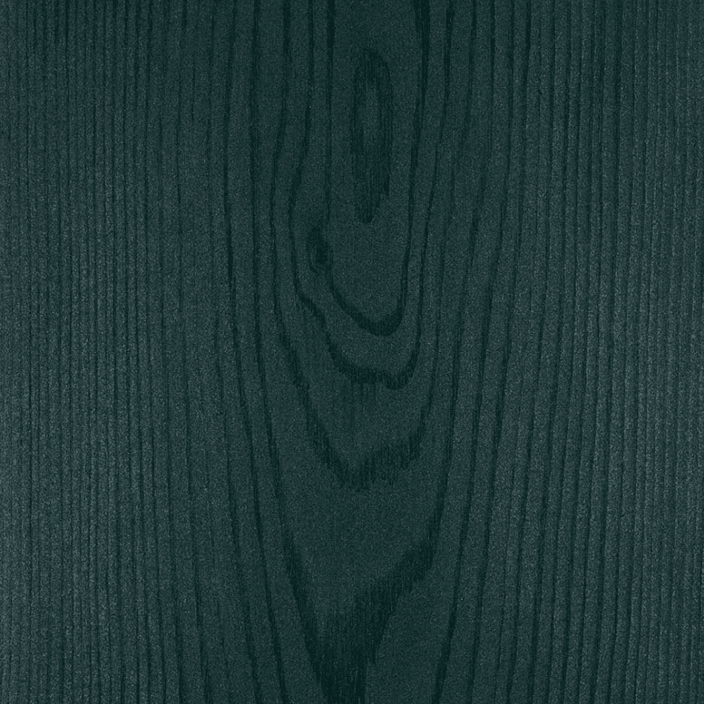 Larch